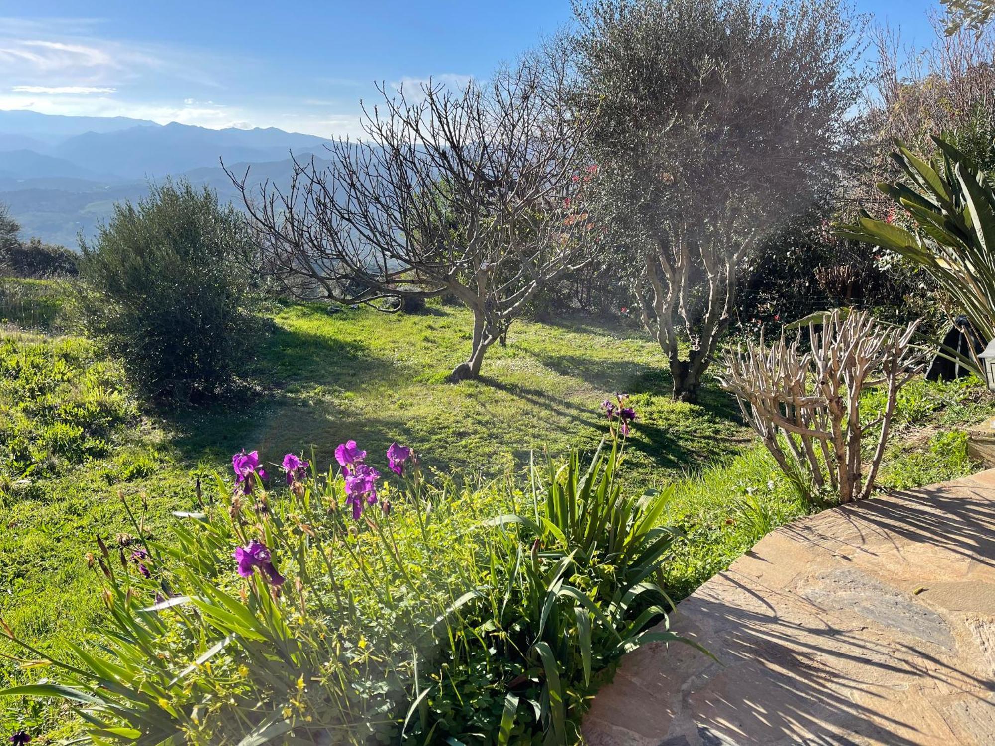 Carpediem_Corsica Poggio-d'Oletta Exterior photo