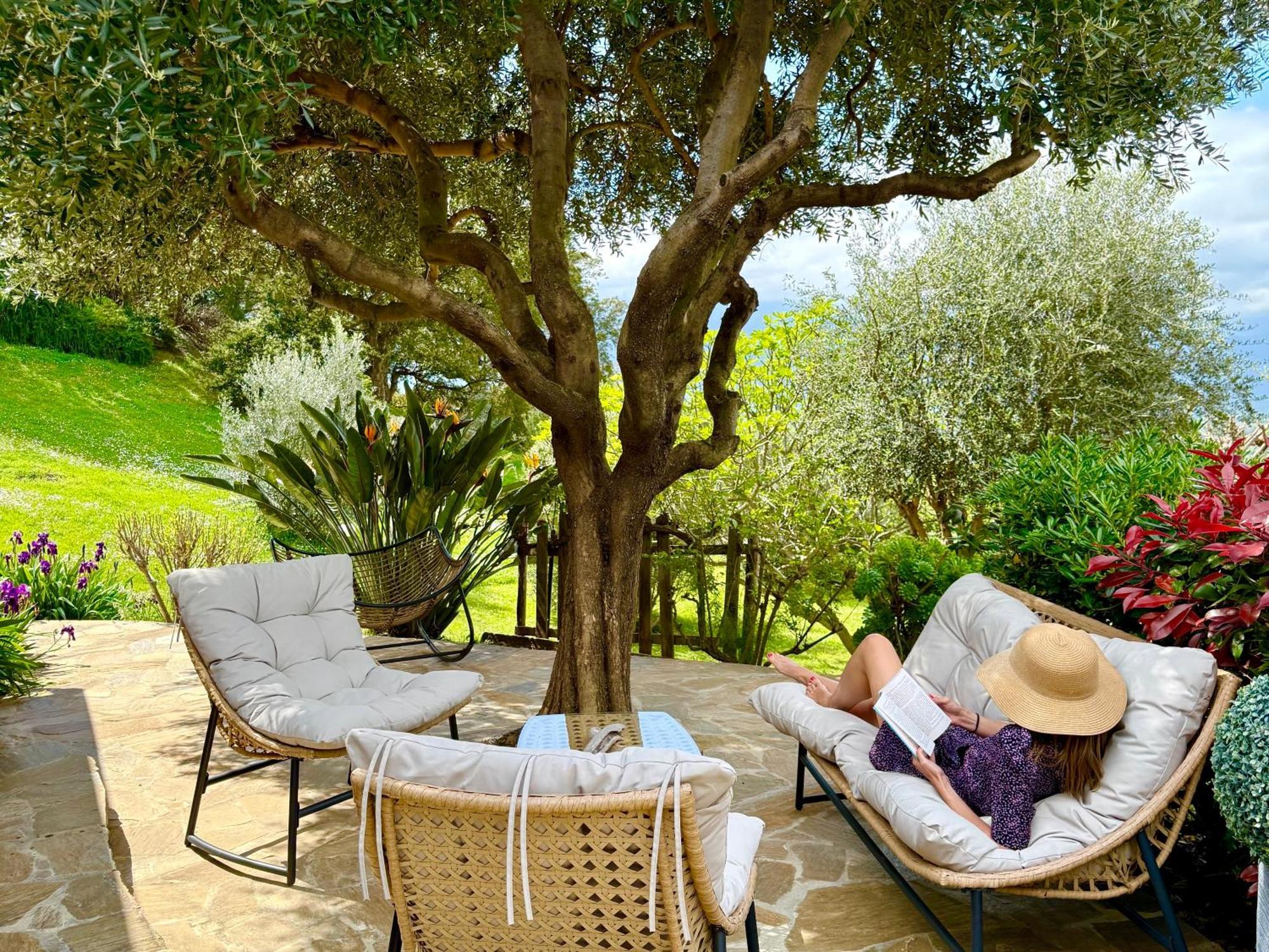 Carpediem_Corsica Poggio-d'Oletta Exterior photo